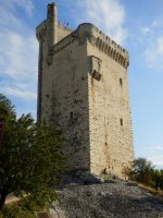 arton124 045ed