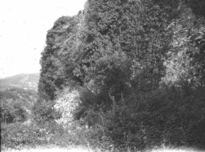 b000219